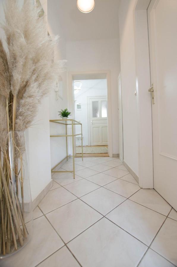 ドレスデンCasarina - Stilvoller Altbau In Zentraler Lageアパートメント エクステリア 写真